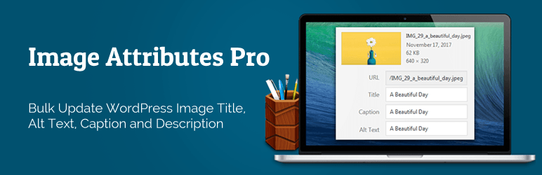AUTO IMAGE ATTRIBUTES PRO-www-blackvol-com.png