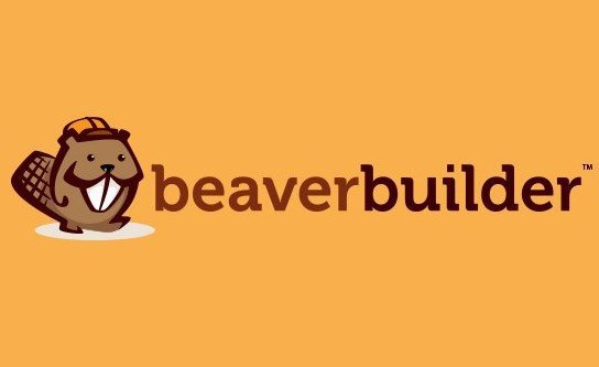 BEAVER BUILDER PLUGIN (PRO VERSION)-www-blackvol-com.jpg