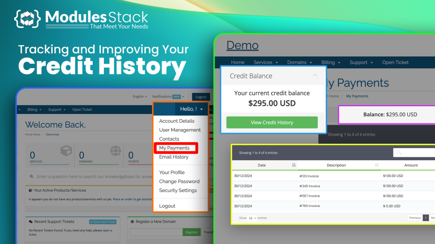CREDIT HISTORY - MS FOR WHMCS-www-blackvol-com.png