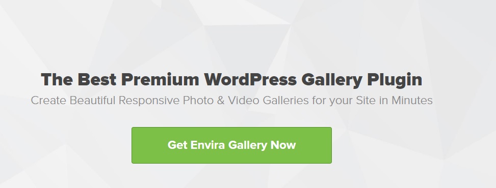 ENVIRA GALLERY - PREMIUM WP GALLERY PLUGIN-www-blackvol-com.jpg