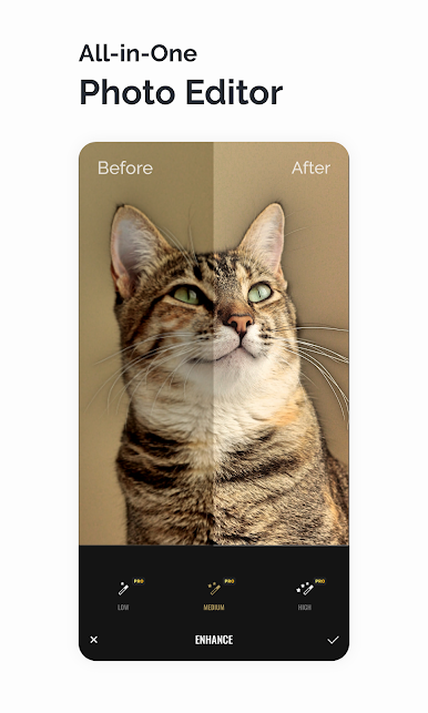 Fotor Photo Editor - Design Maker & Photo Collage