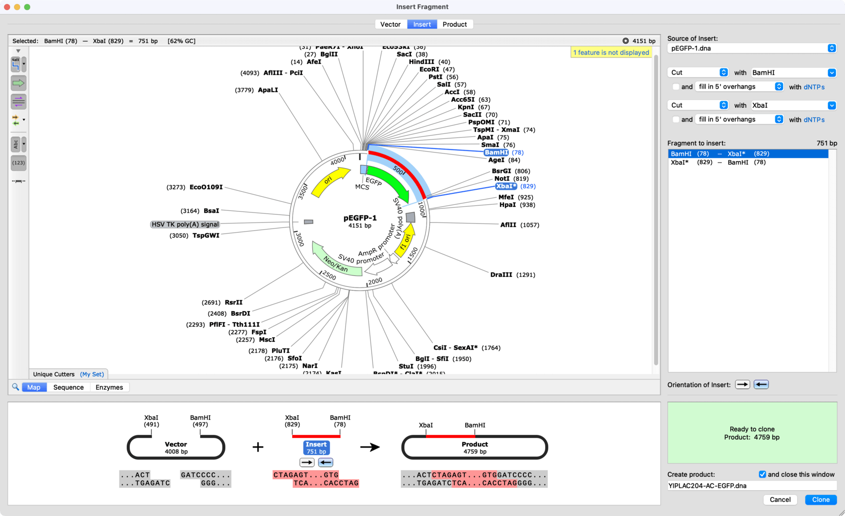 GSL Biotech SnapGene 2021