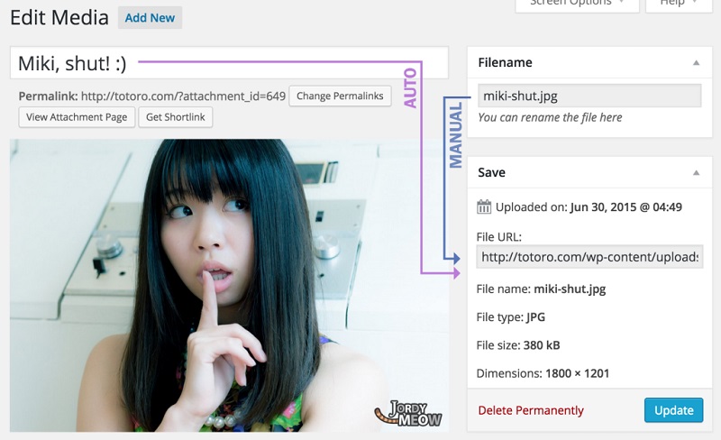 MEDIA FILE RENAMER PRO-www-blackvol-com.jpg