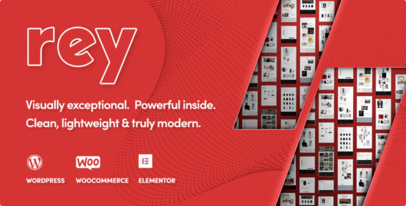 rey_v1.9.4.png