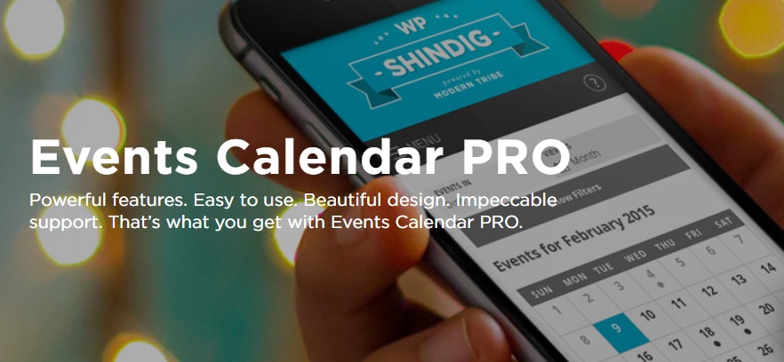 THE EVENTS CALENDAR PRO-www-blackvol-com.jpg