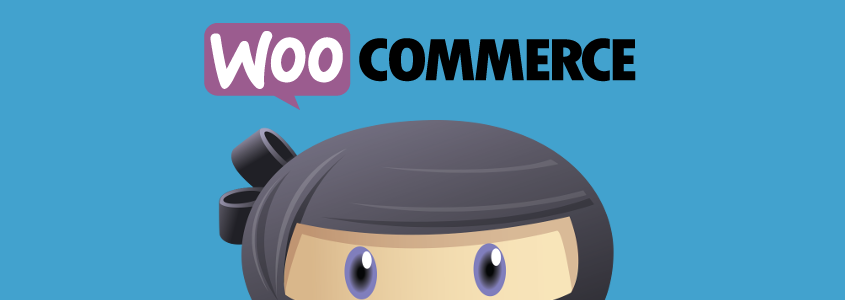 WP ADVERTS - ACCEPT PAYMENTS USING WOOCOMMERCE PLUGIN-www-blackvol-com.png