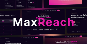 MAXREACH - SEO & DIGITAL AGENCY WORDPRESS THEME1-www-blackvol-com.png