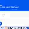 Voicer - Text to Speech Plugin for WP