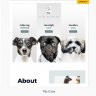Astra Premium Sites - Ready to Import Starters Website