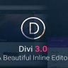 Elegant Themes Divi WordPress Themes