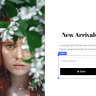 Brave - Drag n Drop WordPress Popup, Optin, Lead Gen & Survey Builders