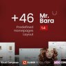 MR.BARA - RESPONSIVE MULTI-PURPOSE ECOMMERCE WORDPRESS THEME
