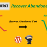 WOOCOMMERCE RECOVER ABANDONED CART BY FANTASTICPLUGINS