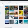 WICKED FOLDERS PRO